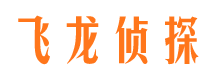 阜城市婚姻调查